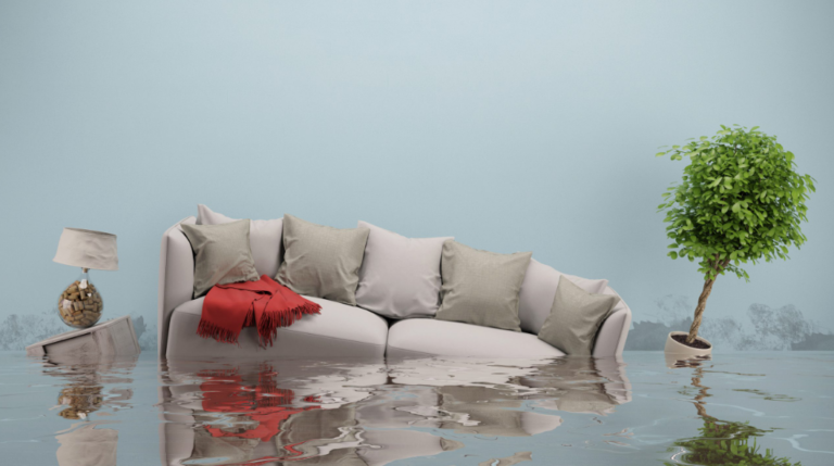 Flood Insurance Premiums